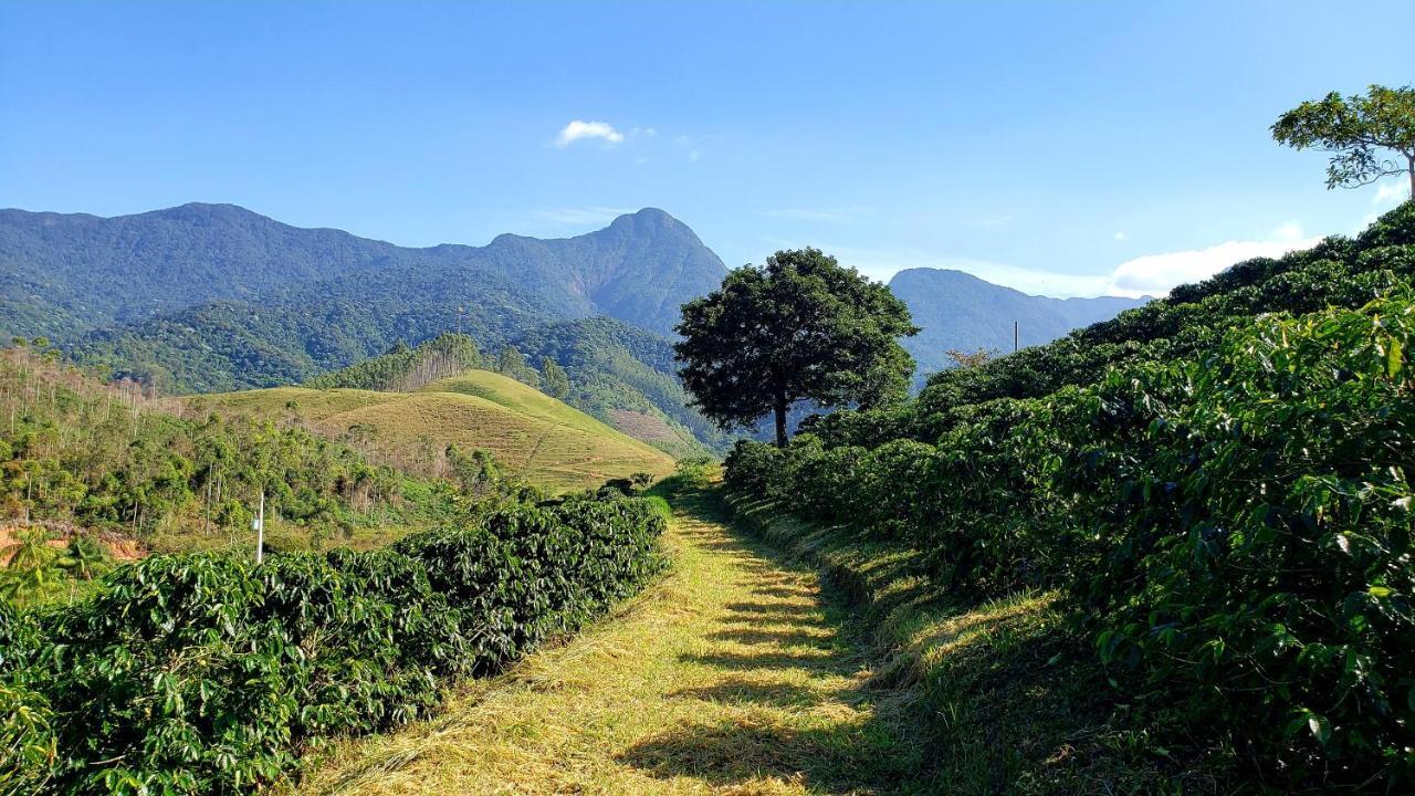 Bangalo Patrimonio Da Penha Alojamento de Turismo Selvagem *